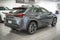 2025 Lexus UX 300h