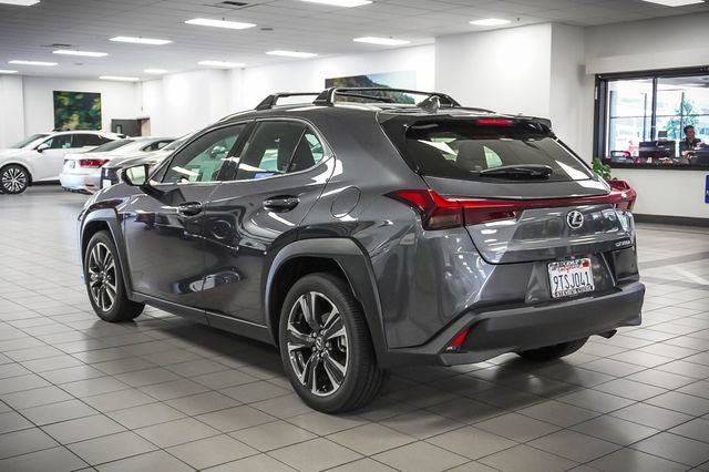 2025 Lexus UX 300h
