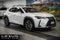 2025 Lexus UX 300h