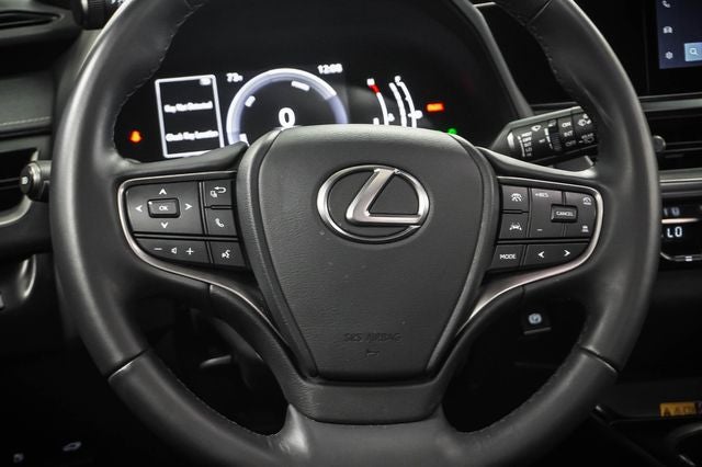 2025 Lexus UX 300h