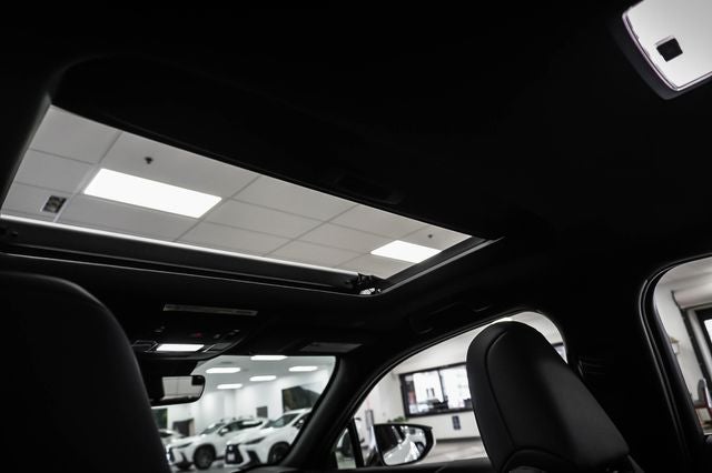 2025 Lexus UX 300h