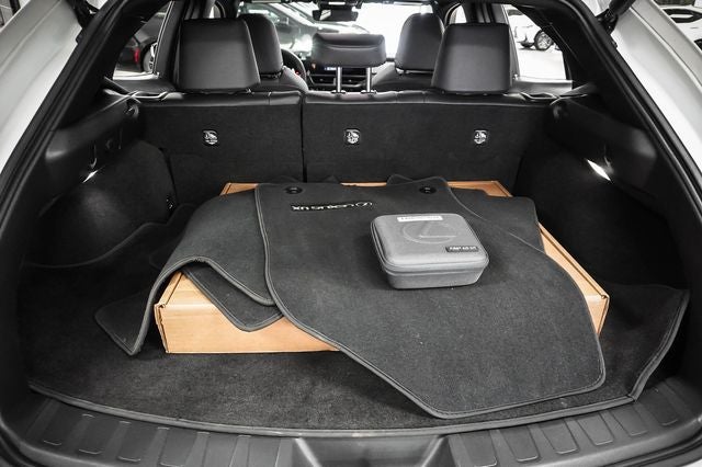 2025 Lexus UX 300h