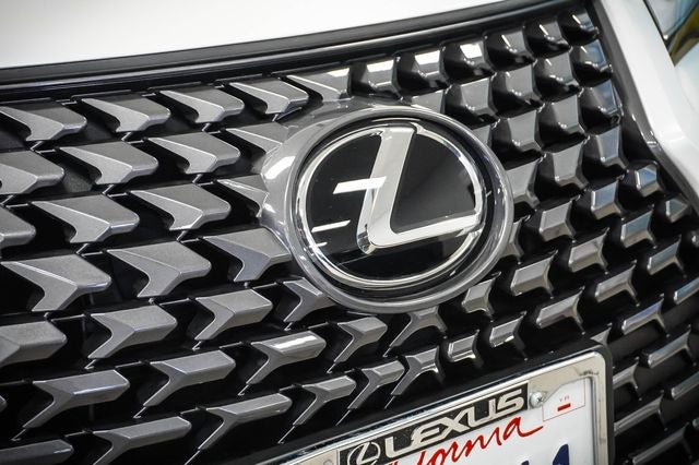 2025 Lexus UX 300h