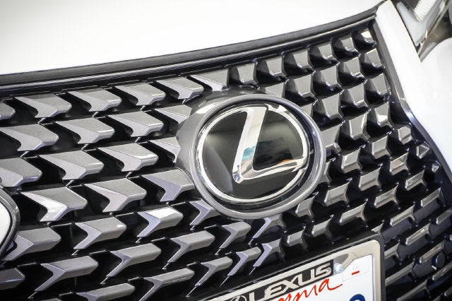2025 Lexus UX 300h Premium