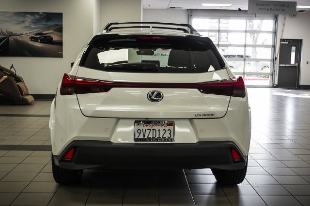 2025 Lexus UX 300h Premium