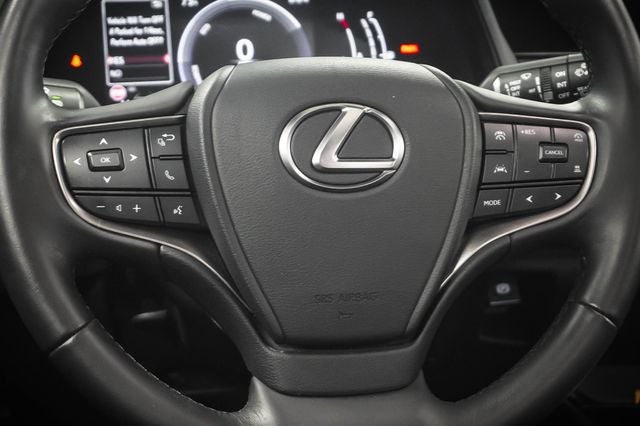 2025 Lexus UX 300h