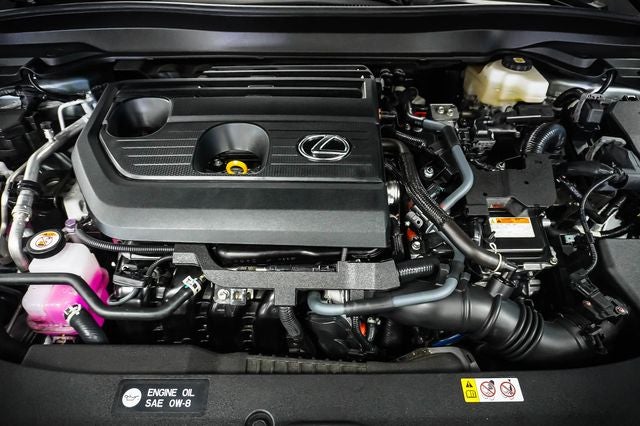 2025 Lexus UX 300h