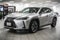 2025 Lexus UX 300h