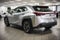 2025 Lexus UX 300h