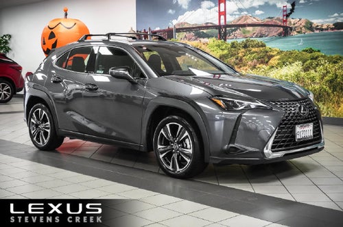 2025 Lexus UX 300h