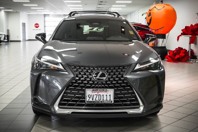 2025 Lexus UX 300h