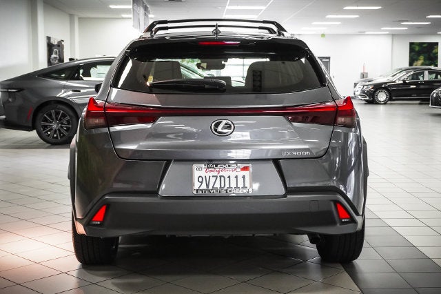 2025 Lexus UX 300h