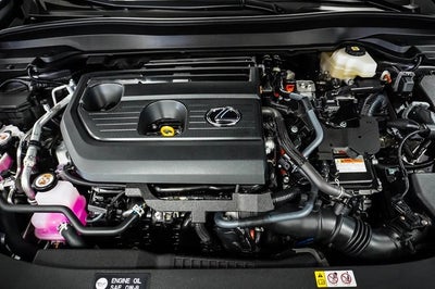 2025 Lexus UX 300h
