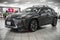 2025 Lexus UX 300h