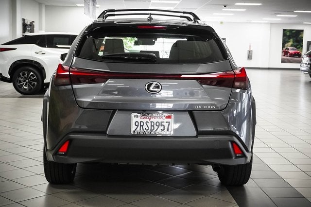 2025 Lexus UX 300h