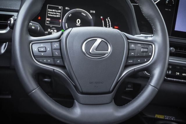 2025 Lexus UX 300h