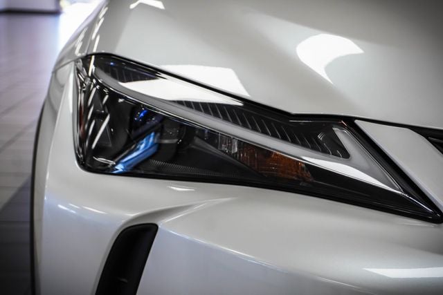2025 Lexus UX 300h