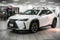 2025 Lexus UX 300h