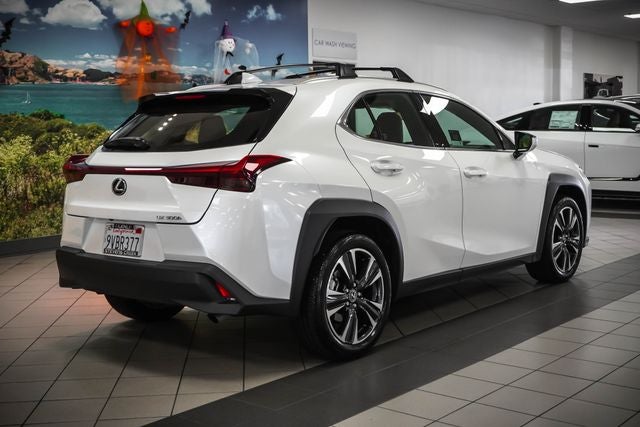 2025 Lexus UX 300h