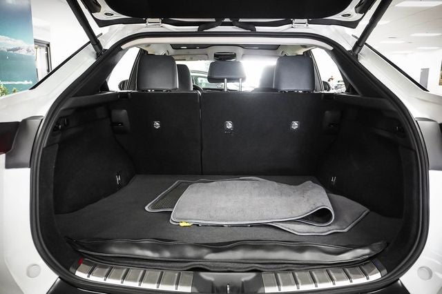 2024 Lexus RZ 300e Premium