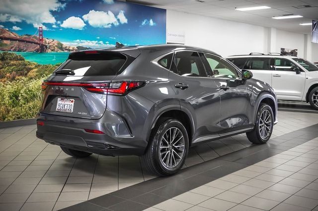 2024 Lexus NX 250