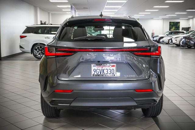 2024 Lexus NX 250