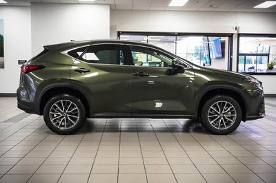 2024 Lexus NX 250