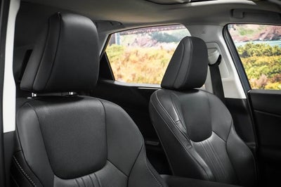 2024 Lexus NX 250 Premium