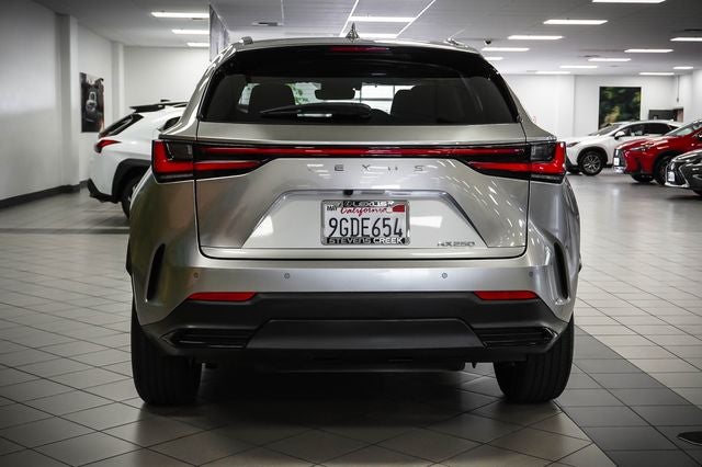 2024 Lexus NX 250 Premium