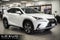 2020 Lexus NX 300h