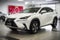 2020 Lexus NX 300h