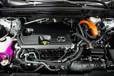 2025 Lexus NX 350h Premium