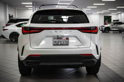 2025 Lexus NX 350h Premium