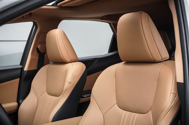 2025 Lexus NX 350h Premium