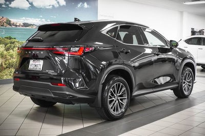 2025 Lexus NX 350h Premium