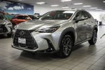 2025 Lexus NX 350h Premium