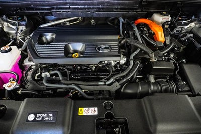 2025 Lexus NX 350h Premium