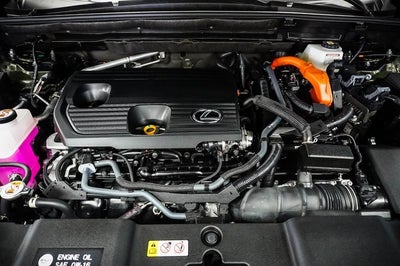 2025 Lexus NX 350h Premium