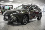 2025 Lexus NX 350h Premium