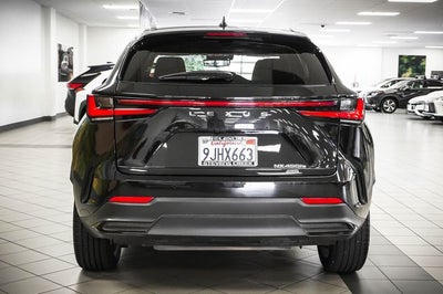 2024 Lexus NX 450h+ Luxury