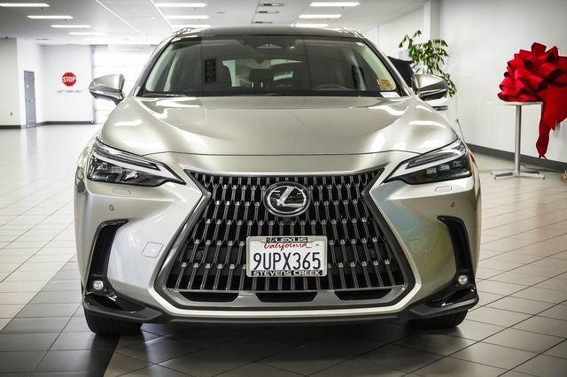 2025 Lexus NX 450h+ Luxury