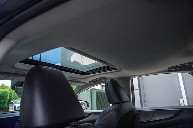 2023 Lexus NX 450h+ Luxury