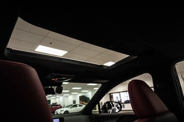 2024 Lexus NX 450h+ Luxury