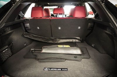 2024 Lexus NX 450h+ Luxury