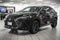 2024 Lexus NX 450h+ Luxury