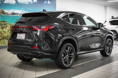 2024 Lexus NX 450h+ Luxury
