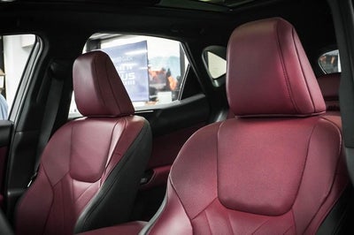 2025 Lexus NX 450h+ Luxury