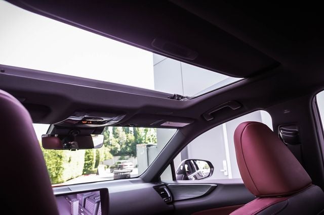 2024 Lexus NX 450h+ Luxury