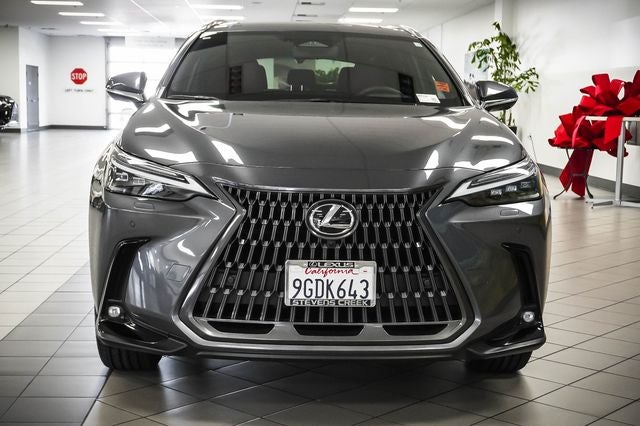 2024 Lexus NX 450h+ Luxury