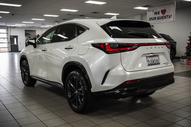 2024 Lexus NX 450h+ Luxury
